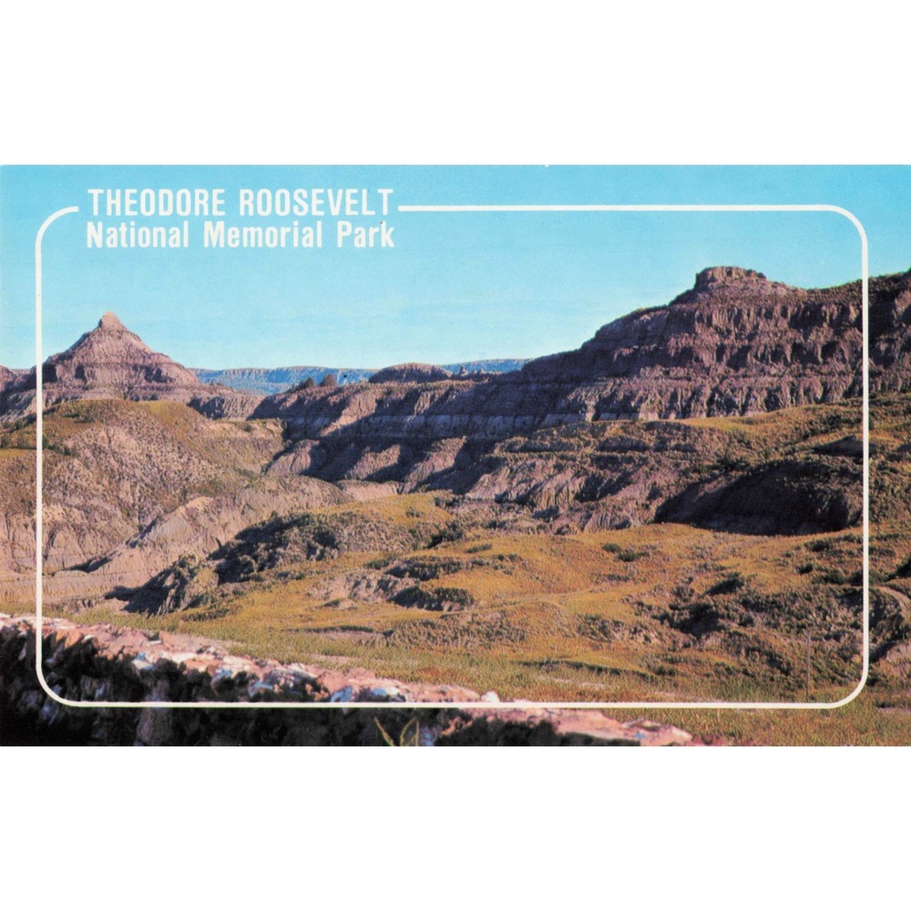 Theodore Roosevelt National Memorial Park North Dakota ND Chrome Postcard